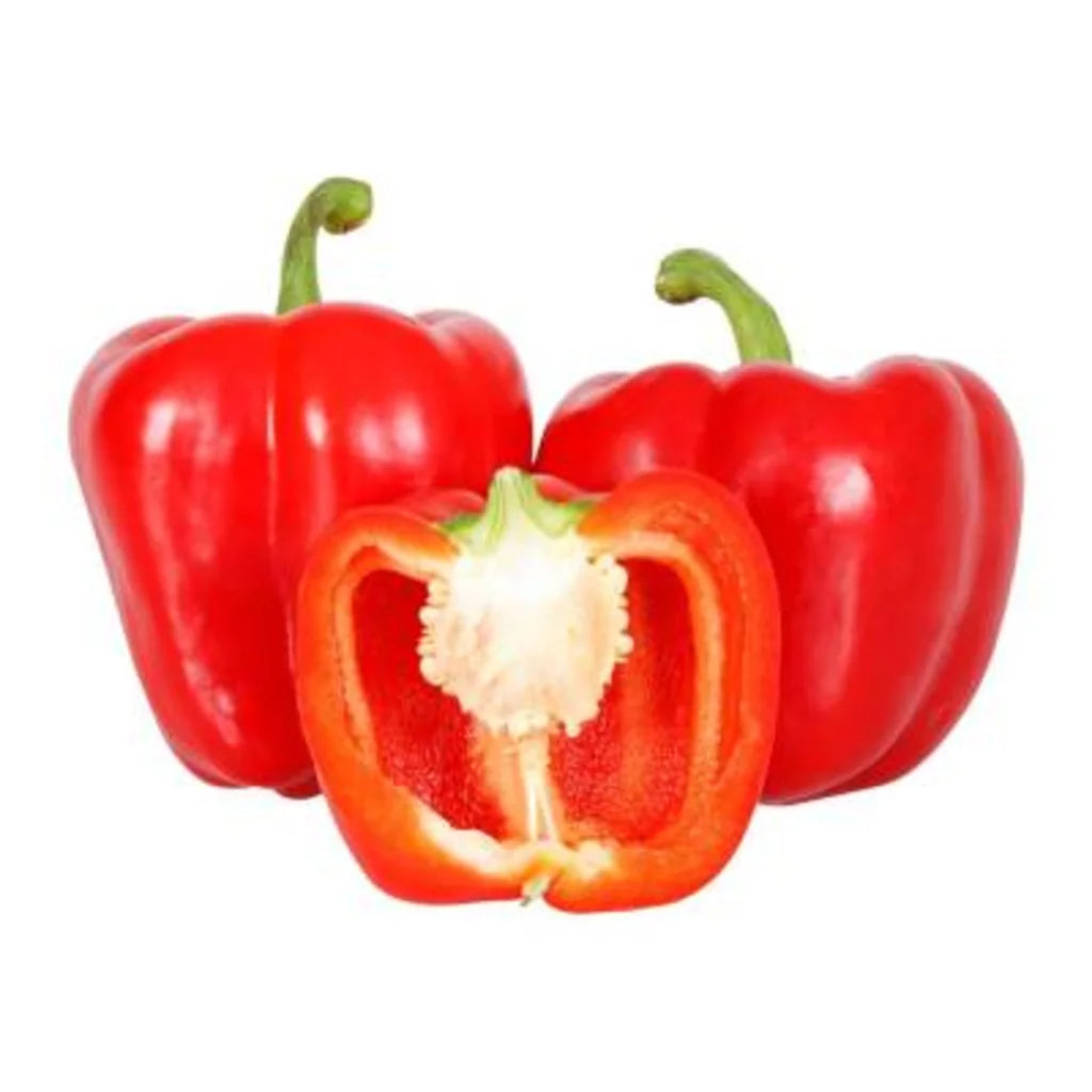 Pimiento Morron Rojo